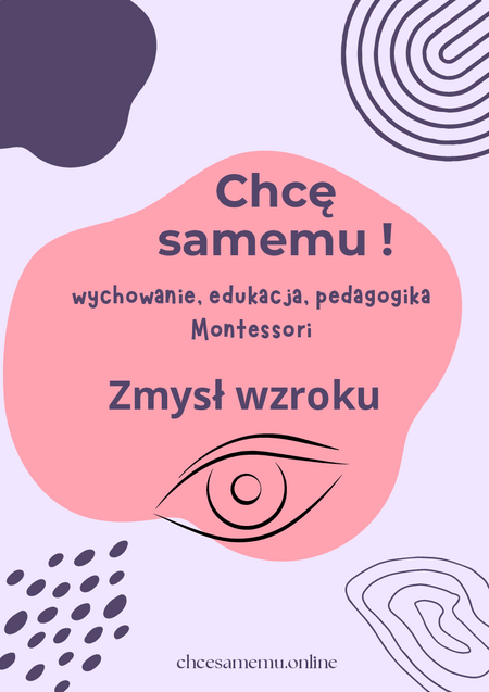 Zmysł wzroku